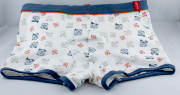 ESPRIT Unterwäsche in Shorts Form
